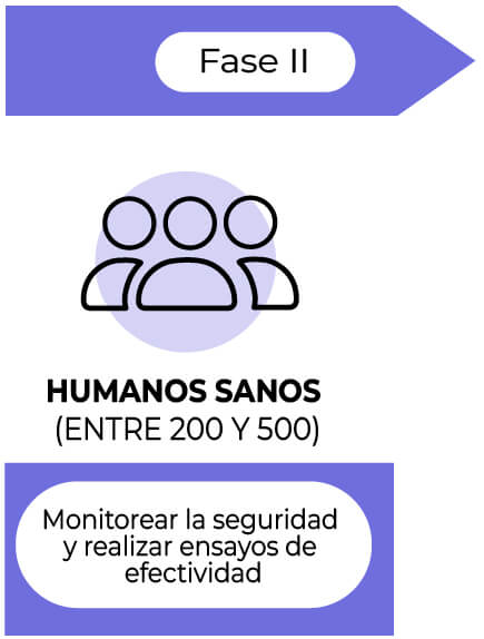 Fase 2: Humanos sanos (entre 200 y 500)
